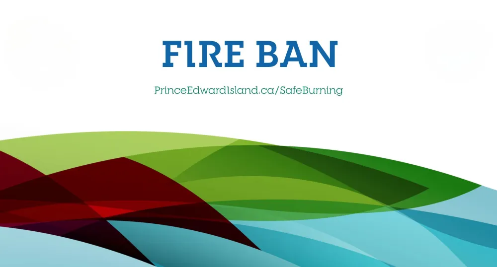 Fire Ban Poster