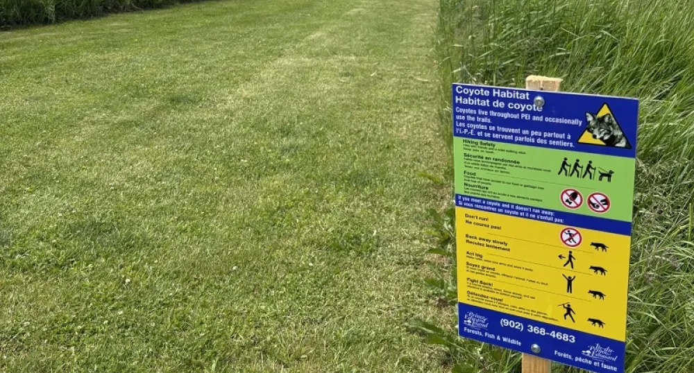 A warning sign for coyotes on walking trail.