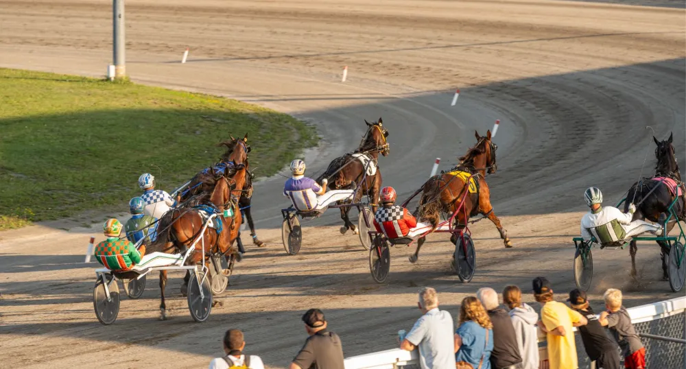 Several horses and their harness racers run around a track at the Charlottetown Exhibition.