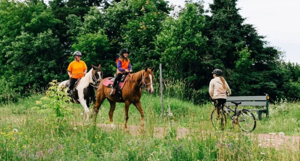Two people riding horses meet a cycler on a trail