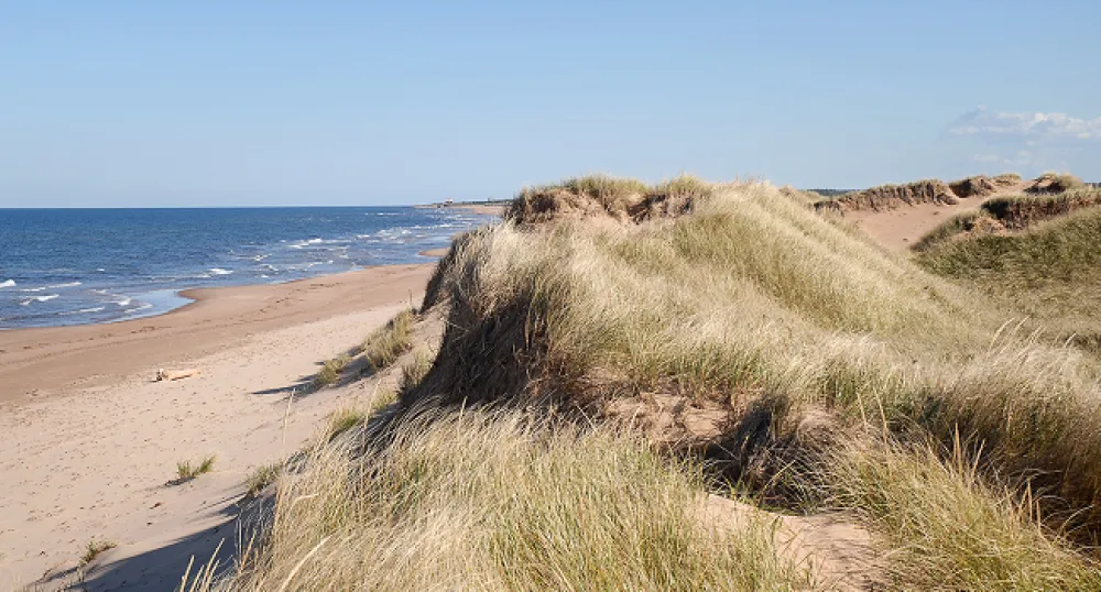 Image of dunes and a beach