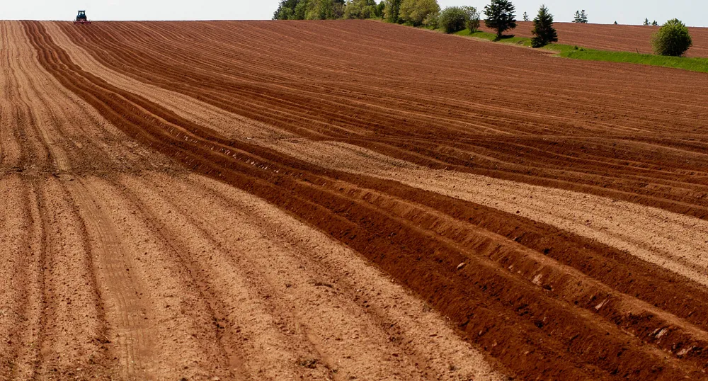 Farm field with red soil