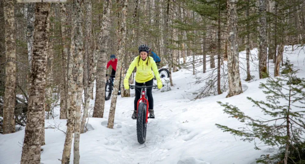 Trio of persons riding fat bikes on trail at Bonshaw Provincial Park in winter