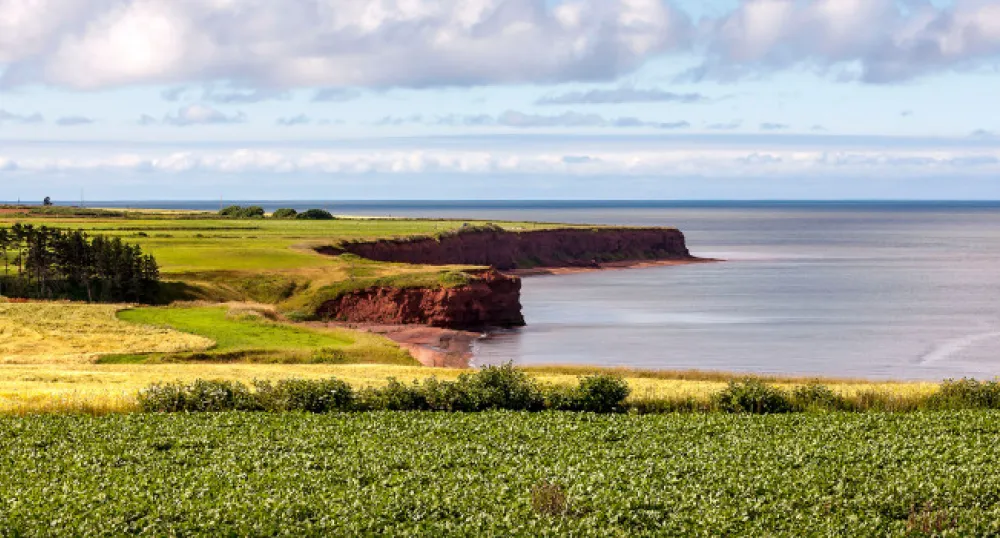 Scenic of PEI coastline