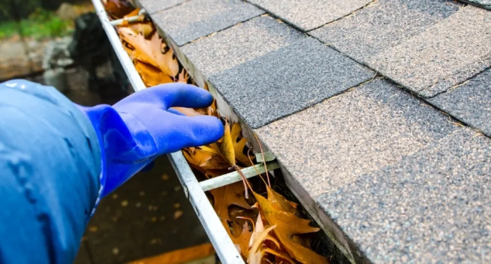 Image of a person removing leaves from a household gutter