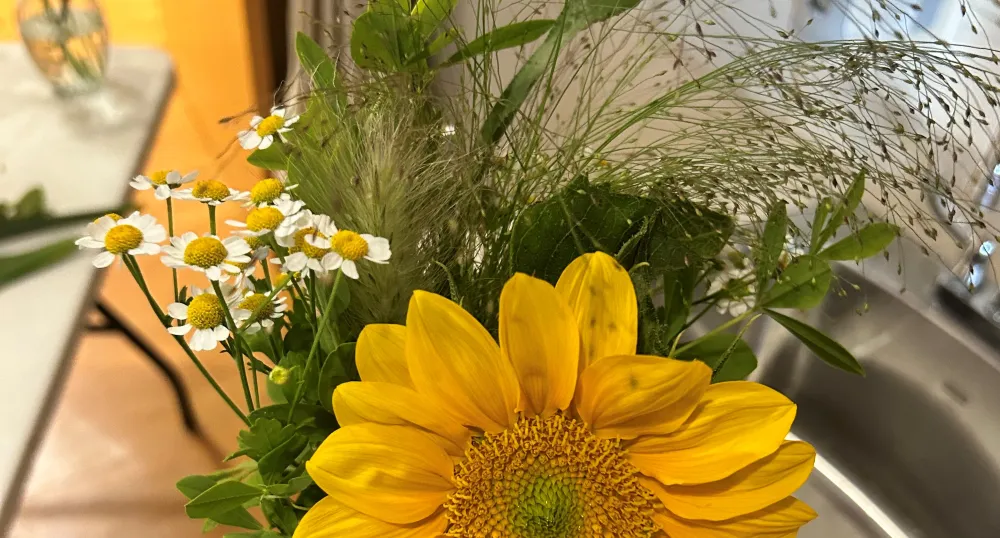 A bouquet of beautiful, sunny flowers