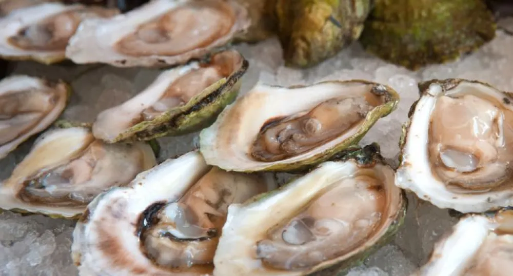 Malpeque Oysters Malpeque oysters on ice