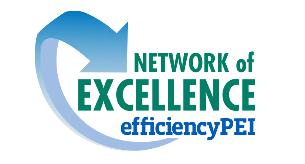 Network of Excellence logo
