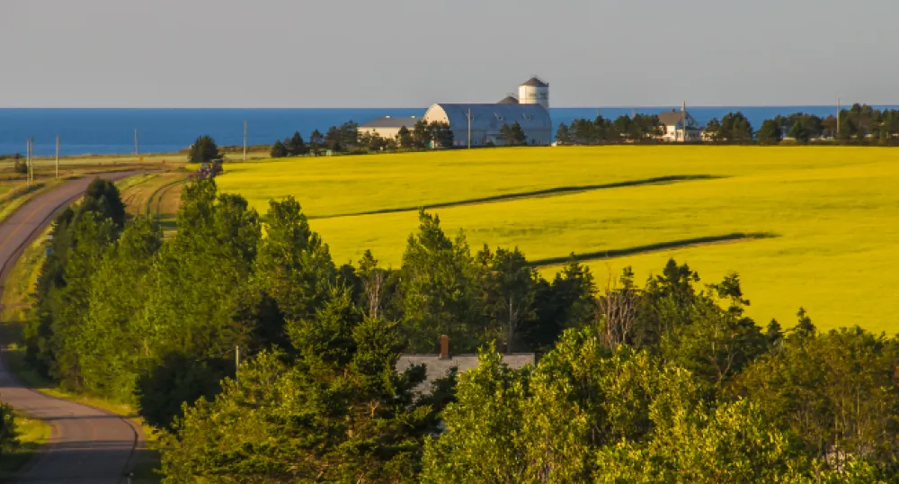 Rural Growth Initiative