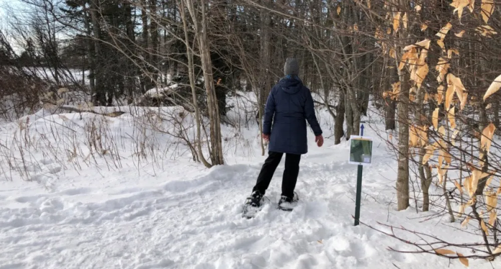 Snowshoeing on community trail