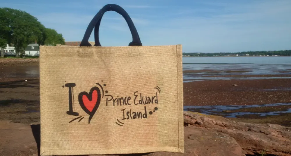 Reusable bag on rocks near waterfront