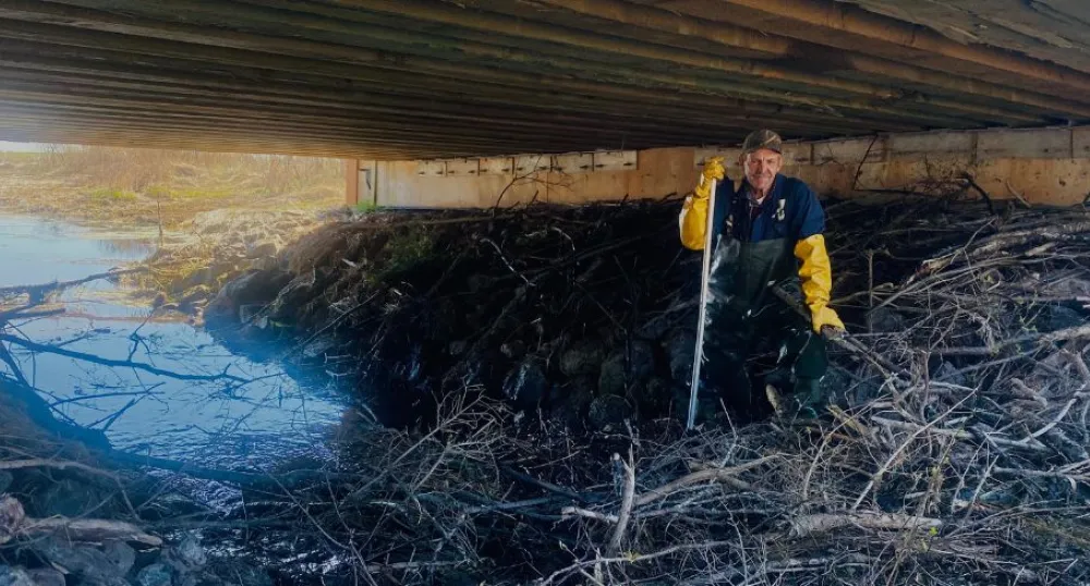 Day 2: Summer student journals learning experience in the field image of a person tending to a beaver dam