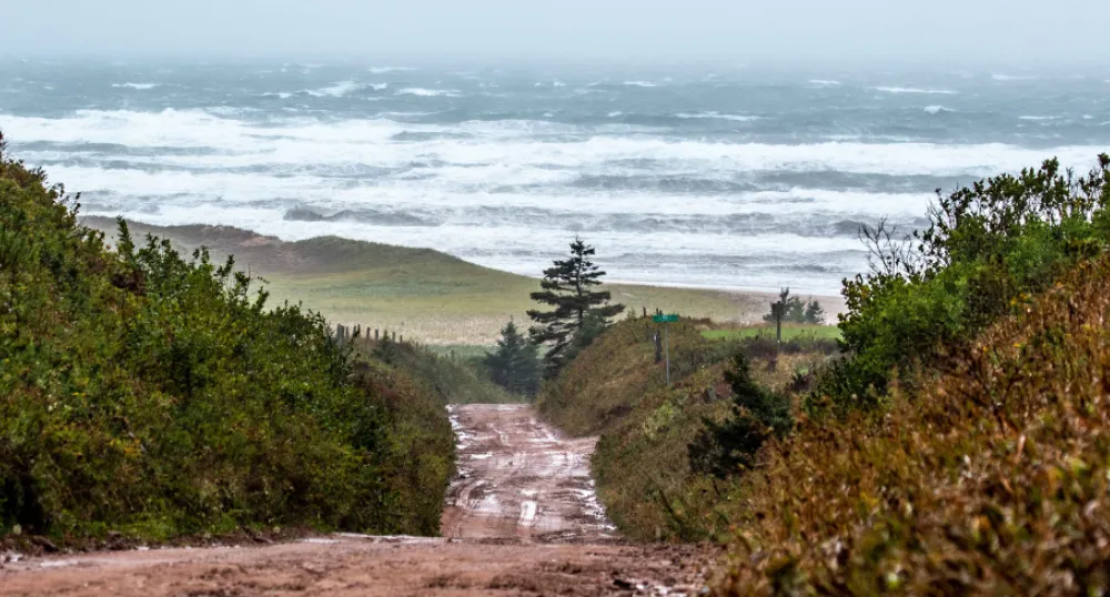 image of a red dirt road leading down a hill toward the water while waves are crashing onshore