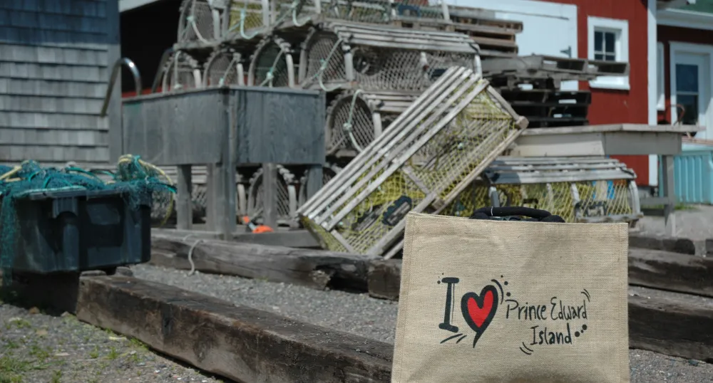 Statement by Premier King on Small Business Week