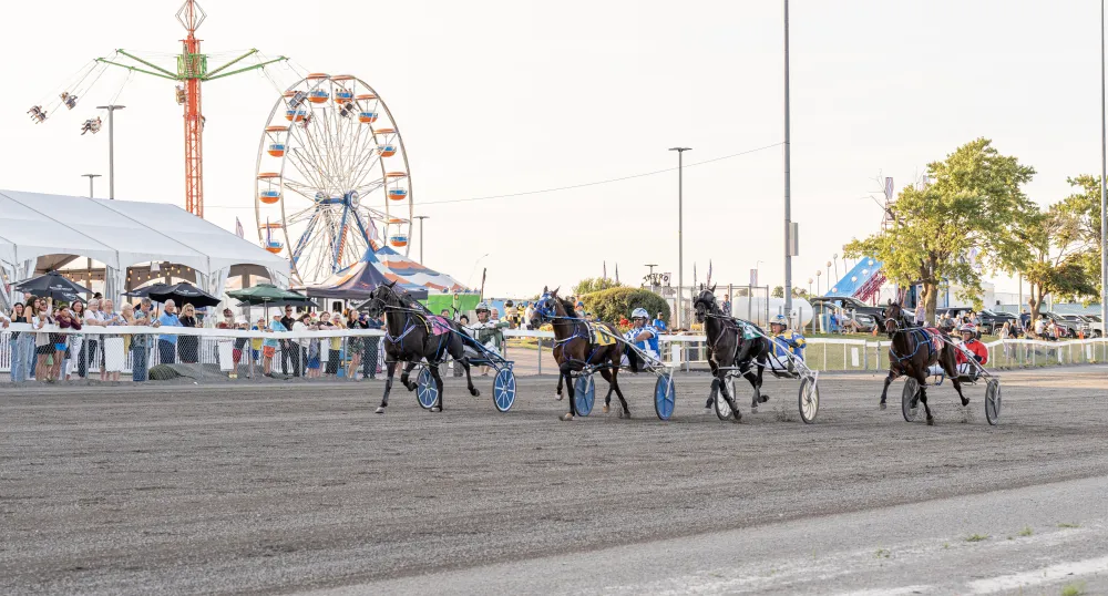 image of harness race horses in mid race with a midway in the background