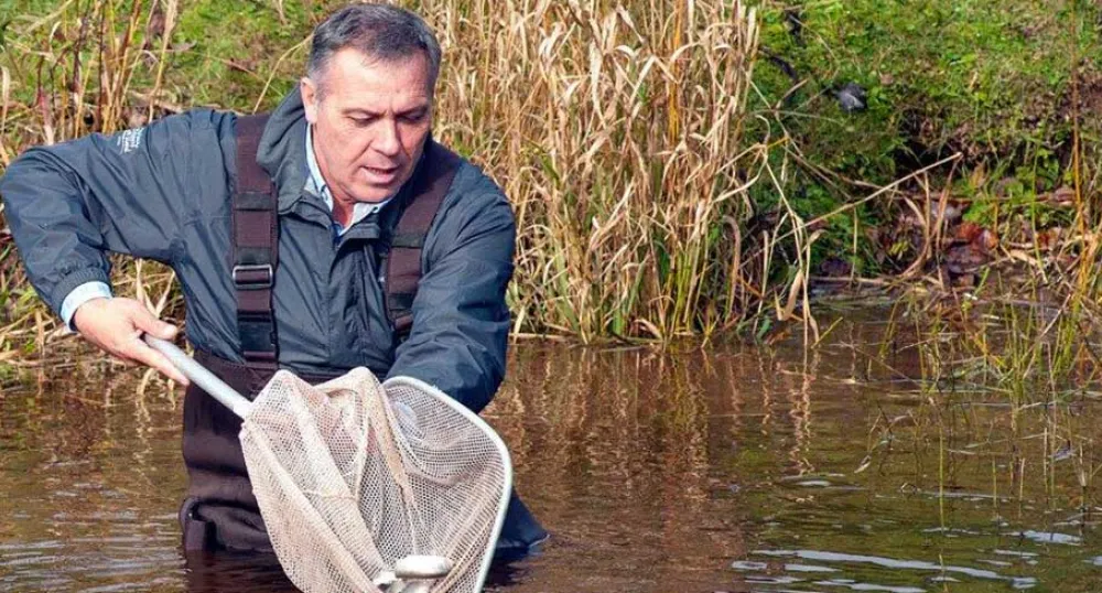 Fish added to Island waterways Minister Mitchell releasing fish into a river