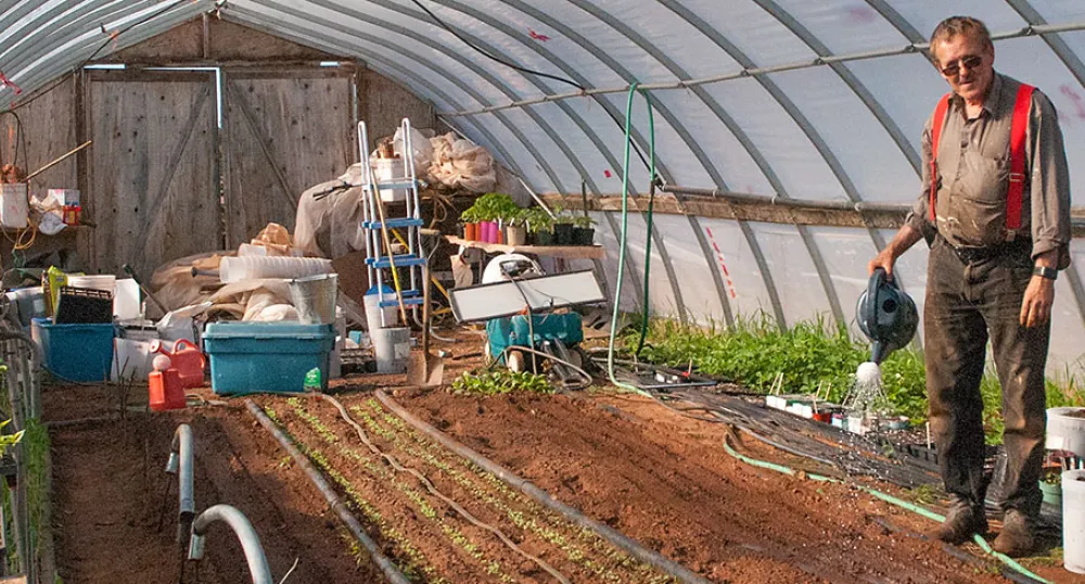 Sandy MacKay Sandy MacKay waters plants in his greenhouse