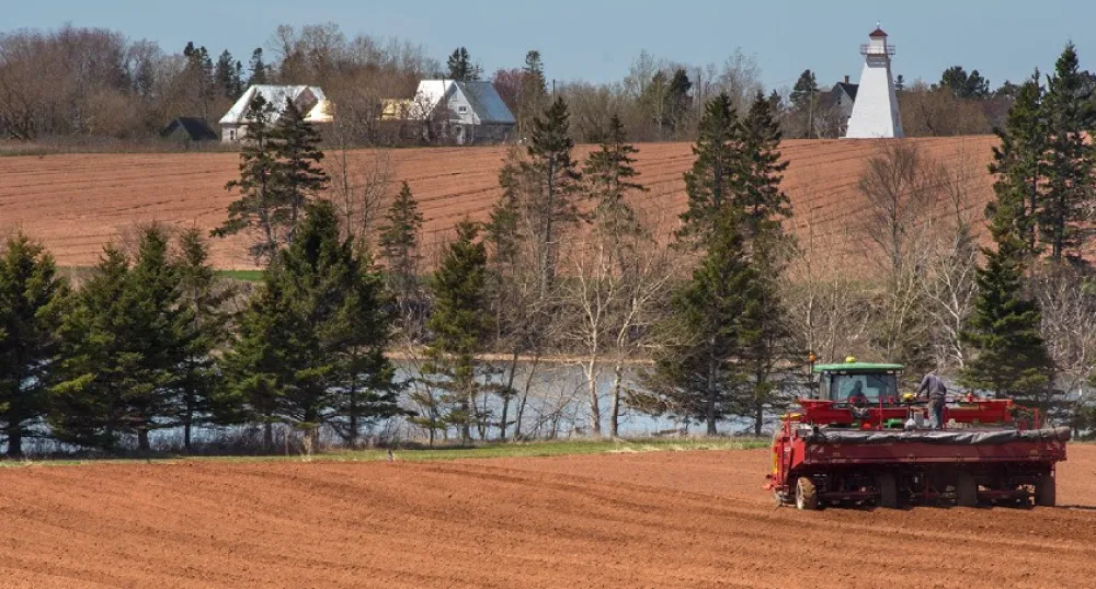 Image of machine planting potatoes in a field