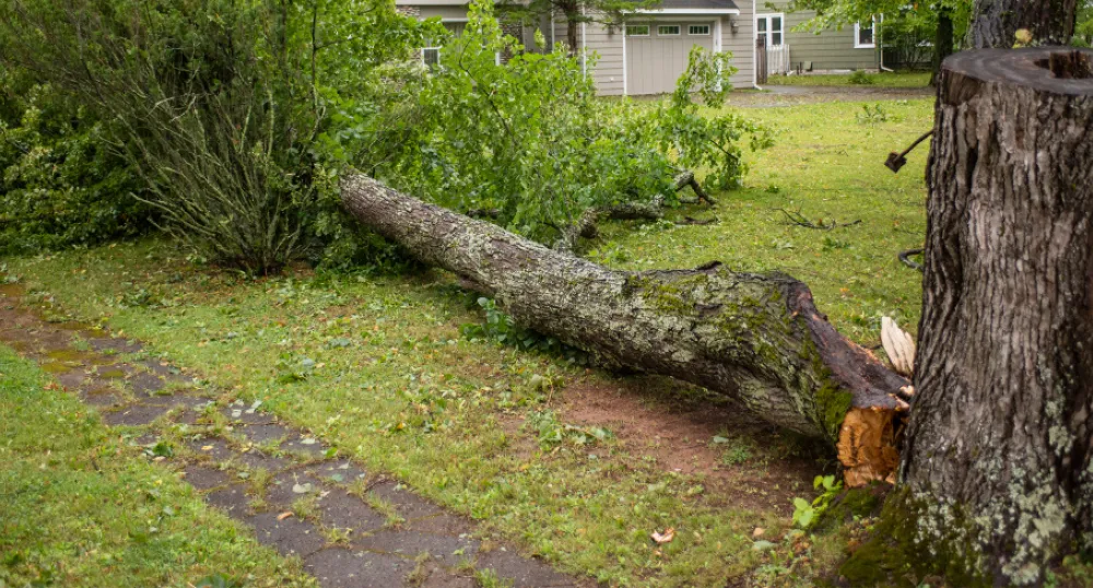 Government assisting Islanders with further debris removal