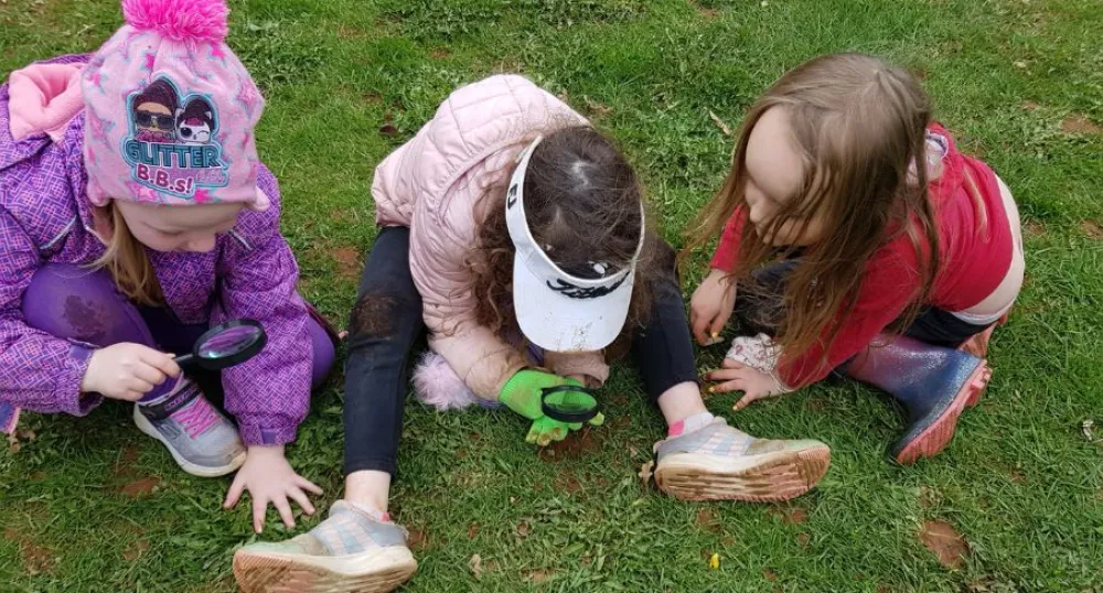 Children looking at insects
