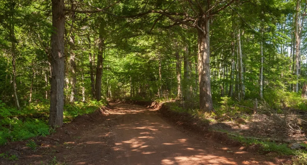 Woodlot