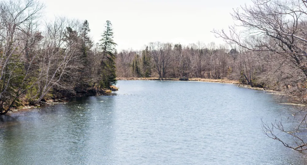 image of a creek