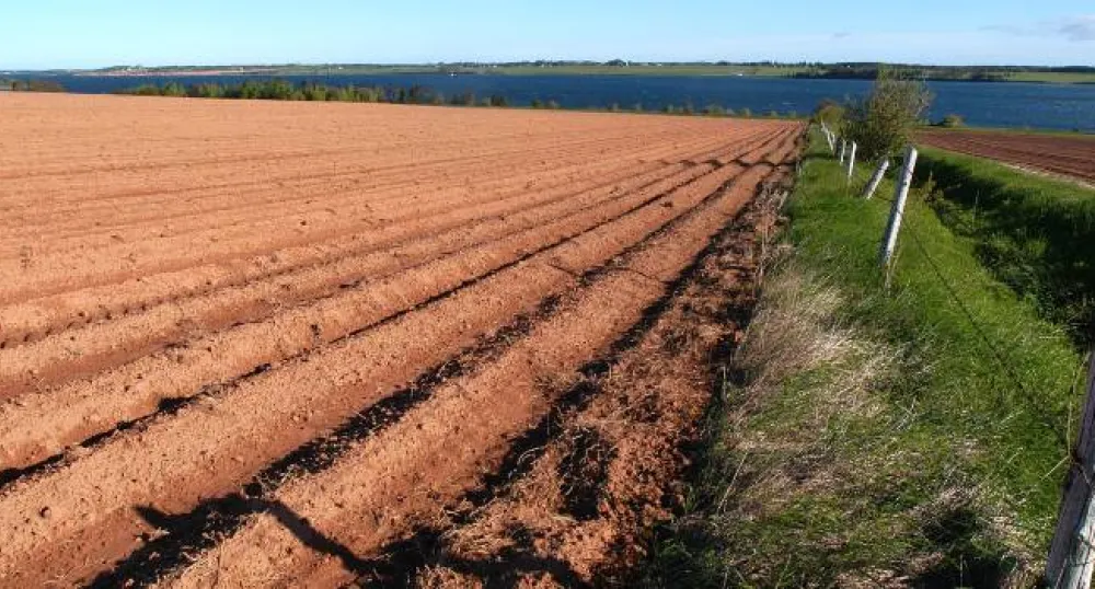 agriculture field in St. Peters, Prince Edward Island