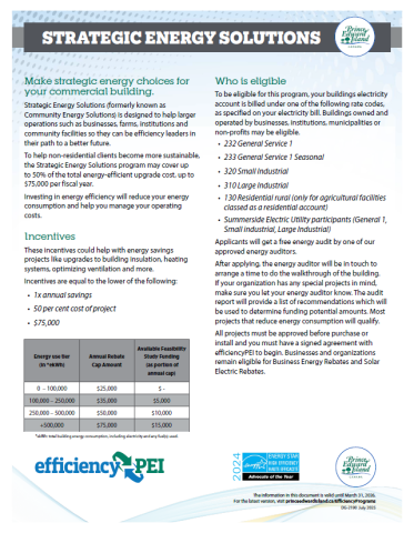 Picture of the Strategic Energy Solutions Application Form