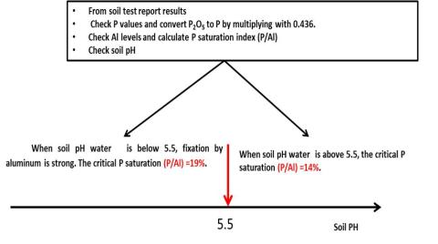 Diagram showing how to calculate P saturation index from soil test reports
