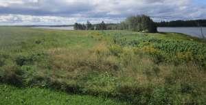 Buffer zone on Seal River with support from ALUS PEI