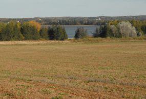 Buffer zone along waterway - ALUS PEI project 