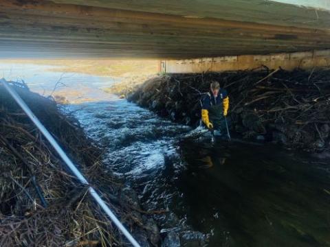 man standing in water