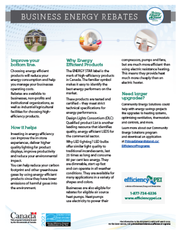 Thumbnail image of a business energy rebates application