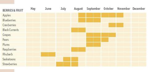 Chart of berries and fruit that are in season by month