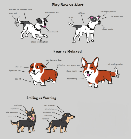 Doggone Resource