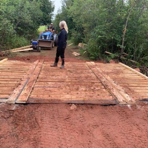 image of a person walking on a small wooden bridge over a stream