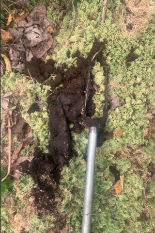 Soil that is poorly drained and is sign of a potentially sensitive environmental feature