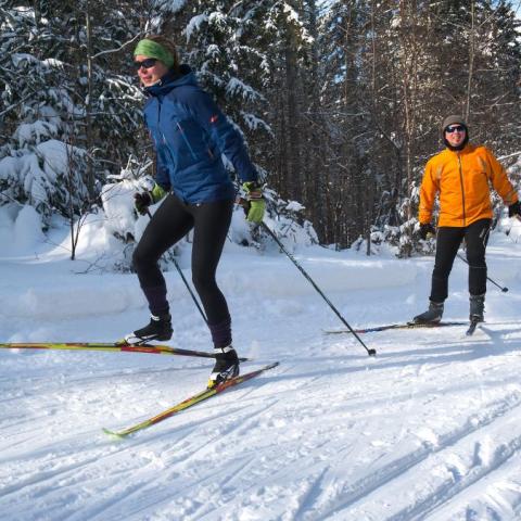 Two people on skis 