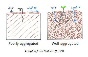 Two line drawings that illustrate poorly-aggregated soil and well-aggregated soil. The well-aggregated soil has spaces (or pores) between the aggregates which allows water and air to move through the soil. The poorly-aggregated soil does not and thus water runs off instead of being absorbed. 