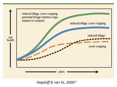 A line graph that illustrates the positive impact of soil conversation methods over time. At the low end is cover cropping alone, followed by reduced tillage, reduced tillage &amp;amp; cover cropping, and at the high end is reduced tillage, cover cropping, perennial forage rotation crops, manure and compost.