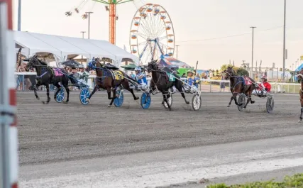 horse racing