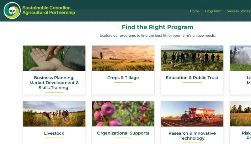 A screenshot of the website