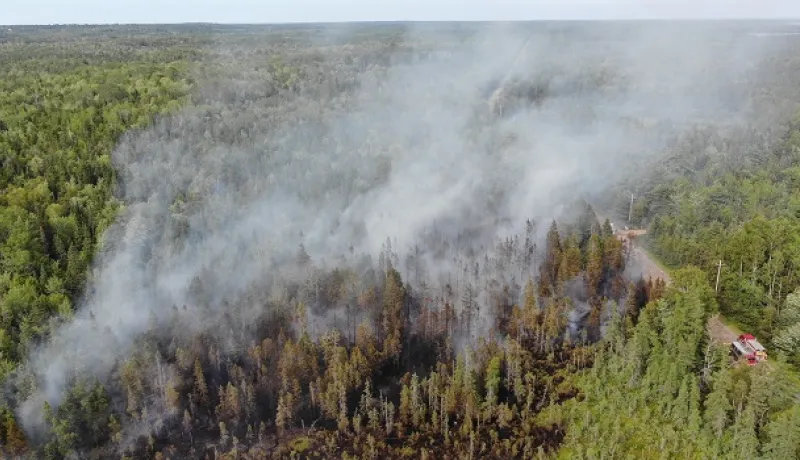 Forest fires burning