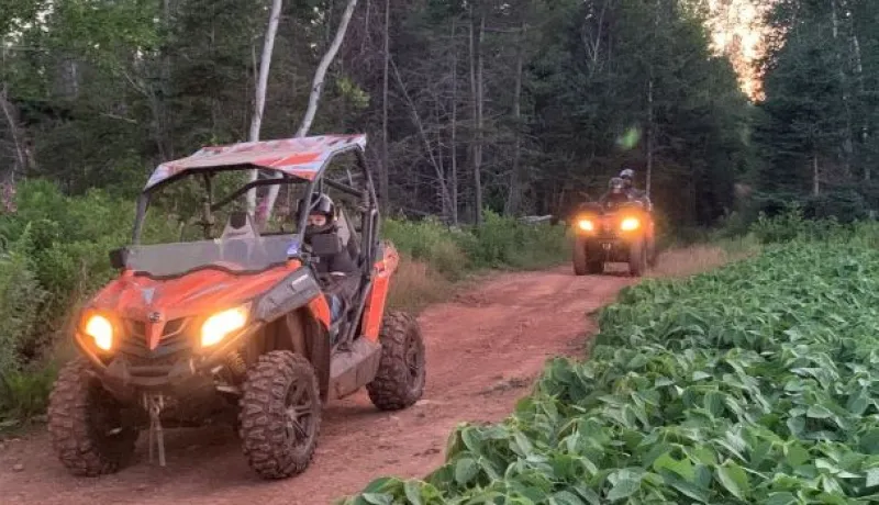 un côte à côte et un véhicule à quatre roues sur un sentier en bord de forêt