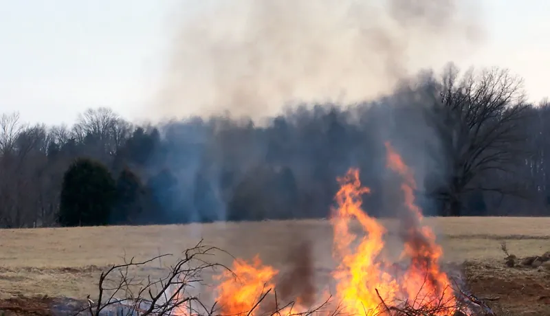 Backyard Burning 