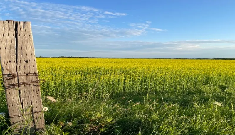 AgriInsurance