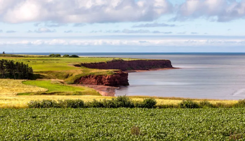Scenic of PEI coastline