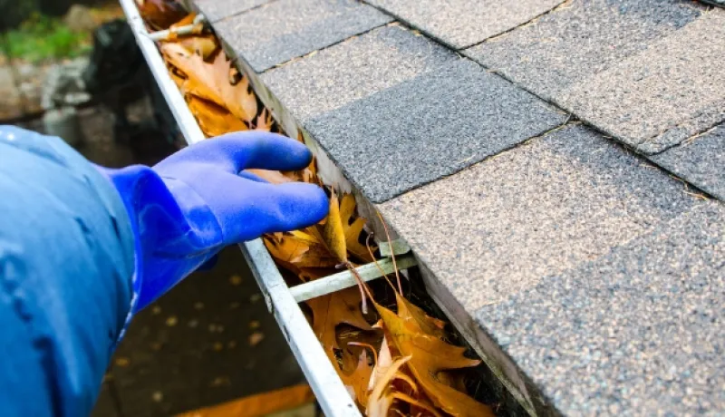 Image of a person removing leaves from a household gutter