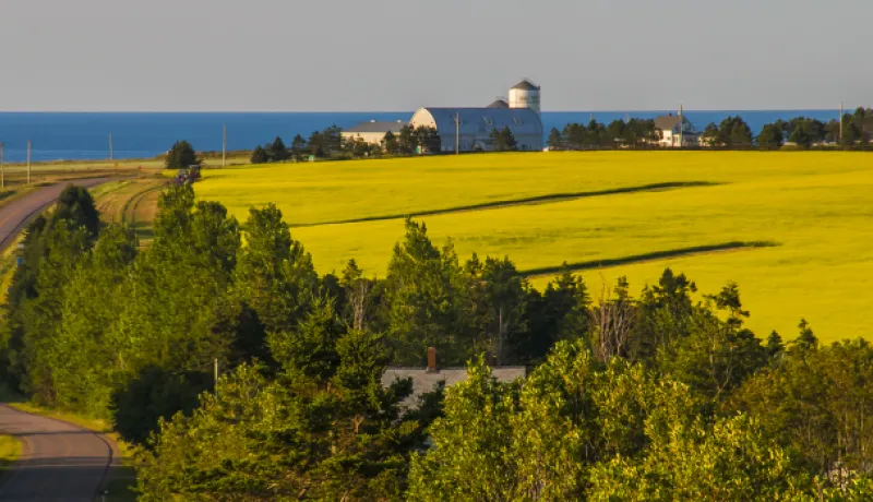 Rural Growth Initiative