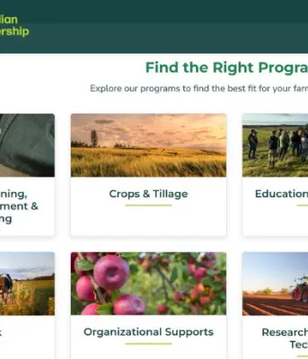 A screenshot of the website